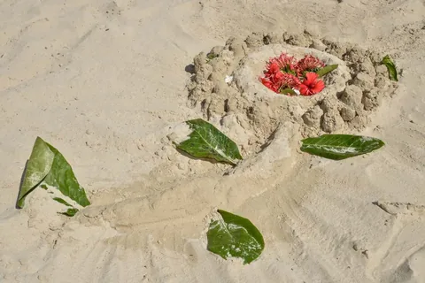 CocoLaPalm Halloween 2022 — Beach Activities, photo 10