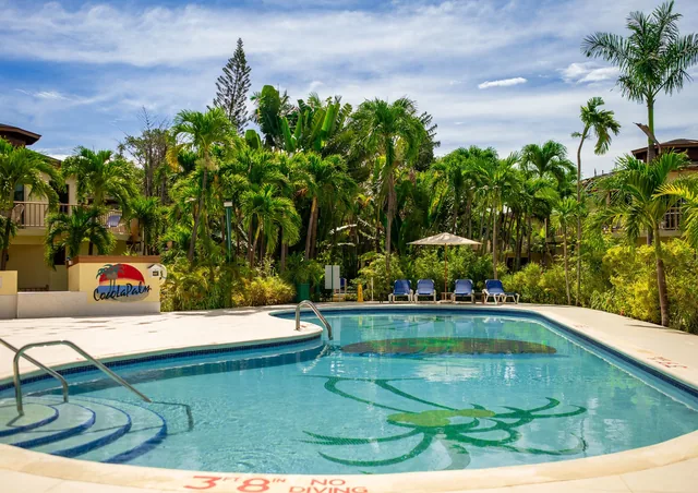 Courtyard pool with palms and loungers