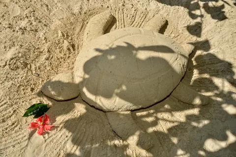 CocoLaPalm Halloween 2022 — Beach Activities, photo 3